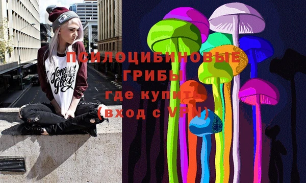 винт Алексин