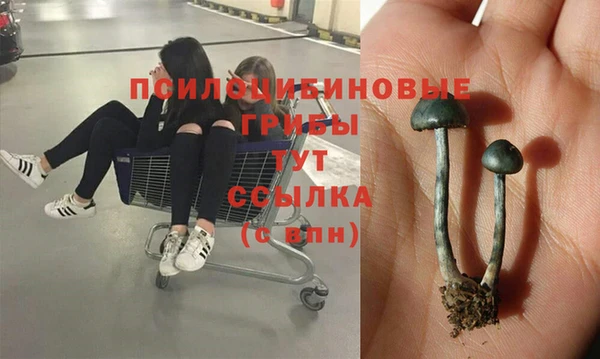 кокс Алзамай